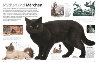 memo Wissen. Katzen