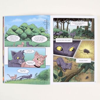 Warrior Cats - Graustreifs Weg zurück