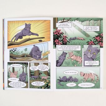 Warrior Cats - Graustreifs Weg zurück