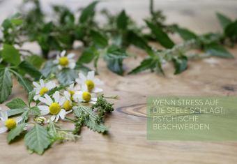 Mit Naturheilkunde Stress bewältigen