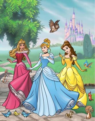 Disney Prinzessin Wasserzauber Malbuch - einfach mit Wasser malen