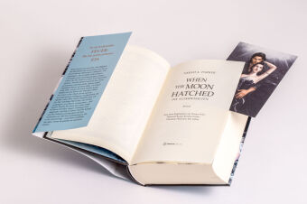 When The Moon Hatched 