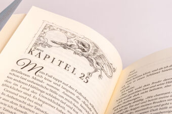 When The Moon Hatched 