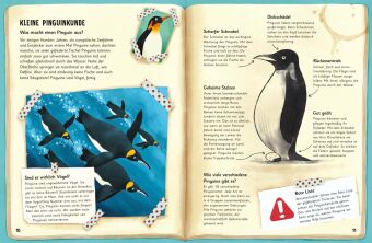Was für Sachen Pinguine machen