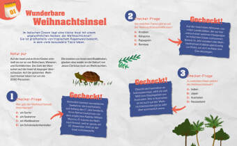 Checker Tobi: Das Adventskalender-Buch: Der X-mas-Check