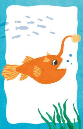 Kartenspiel: Fish you were here - Das witzige Reaktionsspiel