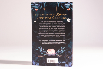 Jane und die Geheimnisse von Branwell Hall