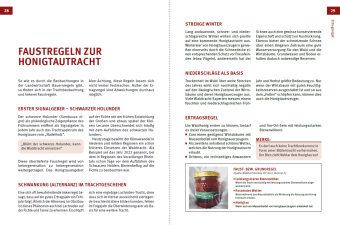 Waldtracht von Fichte und Tanne