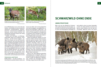 Die Jagd