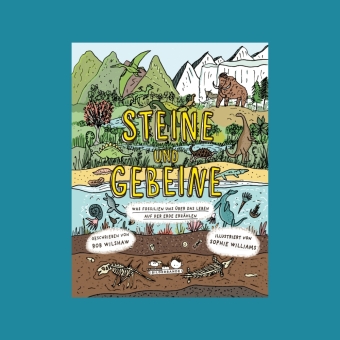 Steine und Gebeine