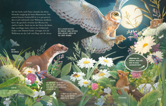 Was schleicht durch die Nacht? 