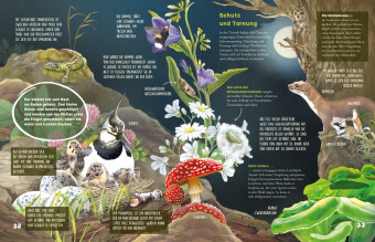 Was schleicht durch die Nacht? 