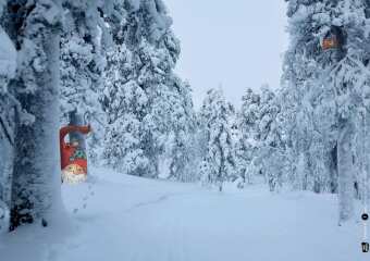 Winter im Wichtelwald. Kamishibai Bildkartenset