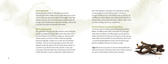Wurzeln und Knollen