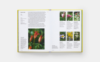 A Year in Bloom