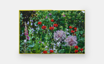 A Year in Bloom