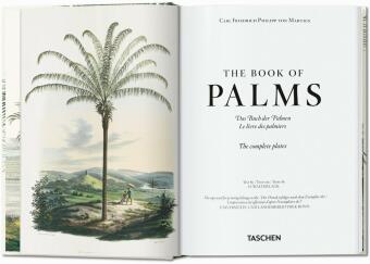 Martius. El libro de las palmeras. 45th Ed.
