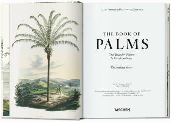 Martius. El libro de las palmeras. 45th Ed.