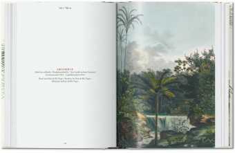 Martius. El libro de las palmeras. 45th Ed.