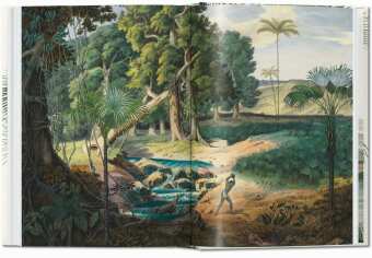 Martius. El libro de las palmeras. 45th Ed.