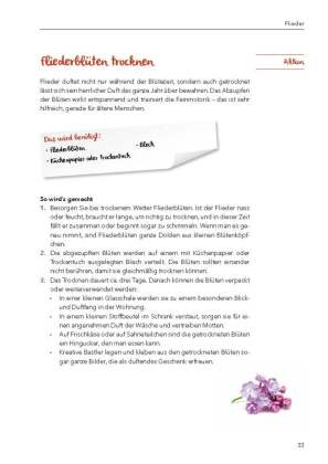 Die Welt der Düfte - Geschichten und Aktivierungen für Senioren - auch mit Demenz