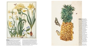 Der Garten. Seine Geschichte in 333 Bildern