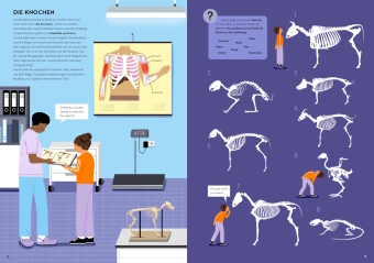 In der Tierarztpraxis 