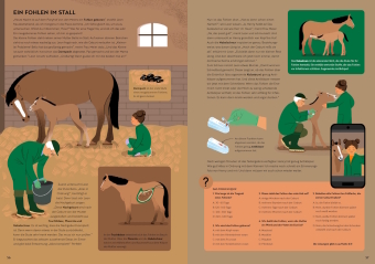 In der Tierarztpraxis 