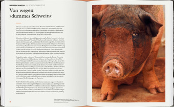 Was Tiere denken