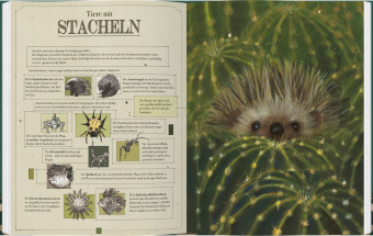 Tierisch schön