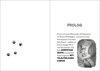 Ninja Cat (Band 4) - Der mysteriöse Juwelenraub 