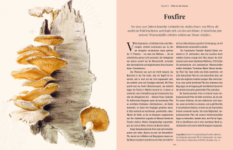 Die Magie der Pilze