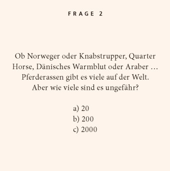 Pferde-Quiz