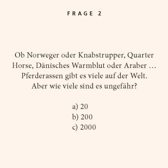 Pferde-Quiz