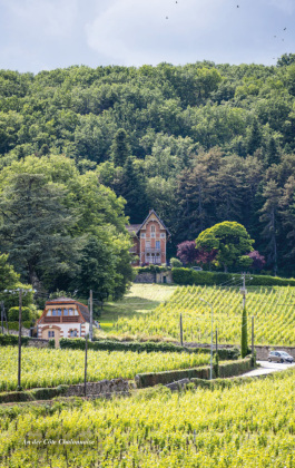TRESCHER Reiseführer Burgund