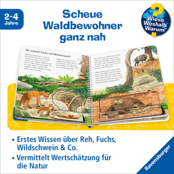 Wieso? Weshalb? Warum? junior, Band 77 - Tiere im Wald