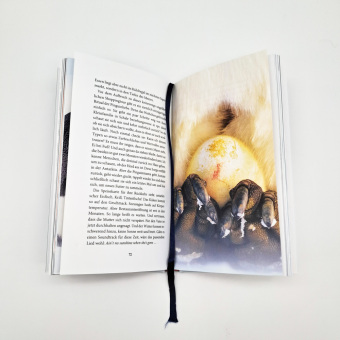 Der Pinguin, der fliegen lernte 