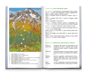 Fiori alpini