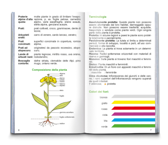 Fiori alpini