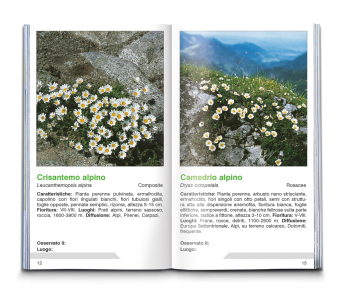 Fiori alpini