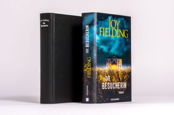 Die Besucherin 