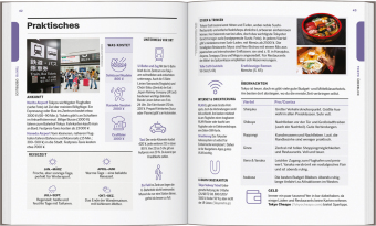 LONELY PLANET Reiseführer Entdecke Japan