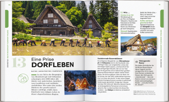 LONELY PLANET Reiseführer Entdecke Japan