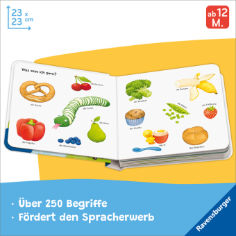 Mein erstes großes Wörterbuch