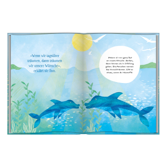 Der Delfin der vom Fliegen träumte