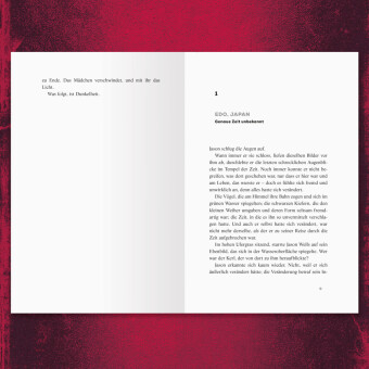 Timelock, Band 3 - Zeitmeister 