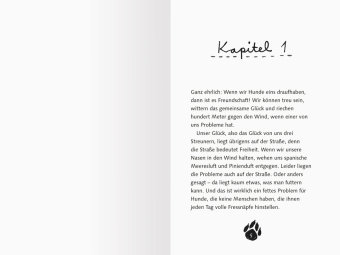 3 Streuner wittern das Abenteuer 