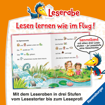 Leserabe Sonderausgaben - Prinzessinnen- und Feengeschichten zum Lesenlernen 
