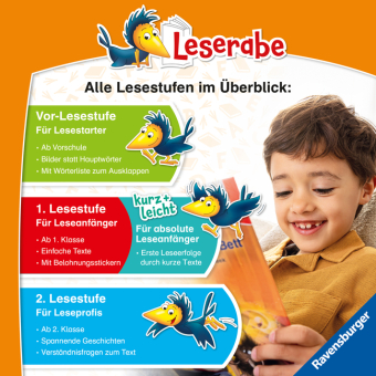 Leserabe Sonderausgaben - Prinzessinnen- und Feengeschichten zum Lesenlernen 
