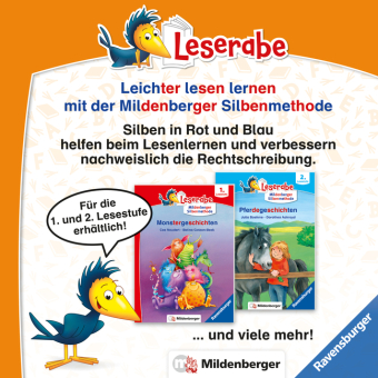 Leserabe Sonderausgaben - Prinzessinnen- und Feengeschichten zum Lesenlernen 